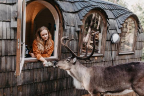 Igluhut – Sleep with reindeer in Espoo